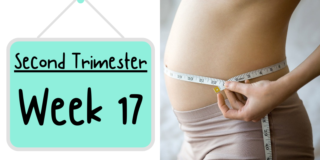 Pregnancy Week by Week: Week 17