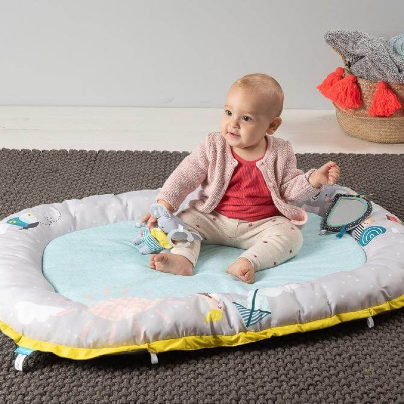 taf toys musical newborn nest & gym